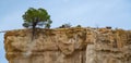 Les Orgues Ille sur Tet, geological site in Pyrenees Orientales, Languedoc Roussillon, France Royalty Free Stock Photo