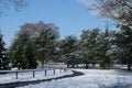 Winter landscape of Bois de Boulogne Forest near Paris, France