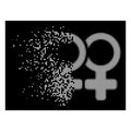 White Destructed Pixel Halftone Lesbi Pair Icon