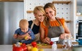 Lesbian mothers with adopted child. Happy homosexual family playing with her daughter Royalty Free Stock Photo