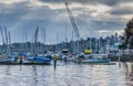 Leschi Marina Moored Boats 2