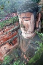 Leshan Giant Buddha in Mt.Emei Royalty Free Stock Photo