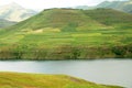 Lesotho Landscape