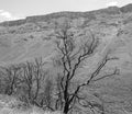 Lesotho, officially the Kingdom of Lesotho landscape