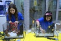 Lesson of aquarium husbandry. Girls arranging decorations in an empty aquarium