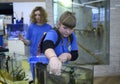 Lesson of aquarium husbandry. Girls arranging decorations in an empty aquarium