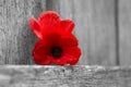 Lest We Forget Royalty Free Stock Photo