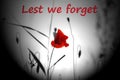 Lest we forget on an image of a red poppy in a field, remembrance day concept.