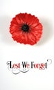 Lest We Forget, Red Flanders Poppy Lapel Pin Badge on white - vertical.