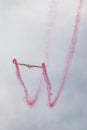 Antidotum Airshow Leszno 2023 and acrobatic shows of DFS Habicht sky glider with smoke show at