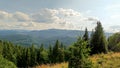 Let\'s go up the mountain. Landscape with clouds, pine trees and green grass. Journey through forests Royalty Free Stock Photo