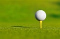 Let`s golf today! Royalty Free Stock Photo