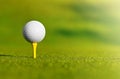 Let`s golf today! Royalty Free Stock Photo