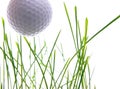 Let`s play golf Royalty Free Stock Photo