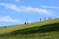 Let's go fly a kite