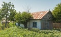 House in the village Letea, The Danube Delta Royalty Free Stock Photo