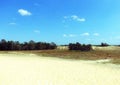 Summer landscape of Letea sand dunes, Danube Delta Royalty Free Stock Photo