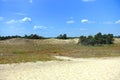 Summer landscape of Letea sand dunes, Danube Delta Royalty Free Stock Photo