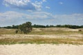 Summer landscape of Letea sand dunes, Danube Delta Royalty Free Stock Photo