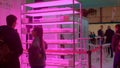 Exhibition stand rack growing young shoots plants Pink light enhances growth