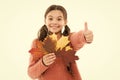 Lets do maple syrup. small girl maple leaves. little child feel unity with nature. collect autumn colors. beauty of fall