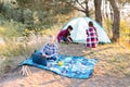 Lets go camping. Family camping. Reach destination place. Two girls pitch tent and one boy watching show on the laptop, sitting on