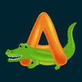 Letter A with Aligator animal for kids abc education in preschool.