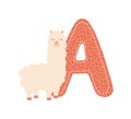 letter A with alpaca