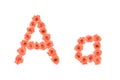 Letter A, alphabet made from orange roses