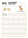 Letter A Alphabet Tracing Book with Example and Funny Antelope Deer Cartoon. Preschool worksheet for practicing fine motor skill.