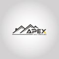 Letter APEX real estate logo template idea