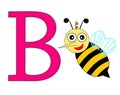 Letter B