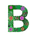 The letter B - bright element of the colorful floral alphabet on white background. Made from flowers, twigs and leaves. Floral