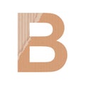 Letter B of the English alphabet, gray paper cardboard texture on white background - Vector