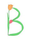 Letter B of English alphabet from tulip flowers, floral font for spring Mother\'s Day design Royalty Free Stock Photo