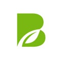 Letter b leaf green logo