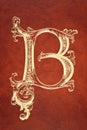 Letter B on leather