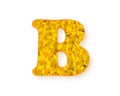 Letter B logo. Yellow color spring flower capital letter B, design element alphabet, daisies texture, vector illustration isolated