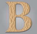 Letter B of textured leather. Decorative alphabet on grey background Vector illustration