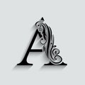 Letter A. Black flower alphabet. Beautiful capital letters with shadow