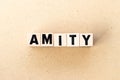 Alphabet letter block in word amity on wood background Royalty Free Stock Photo