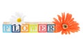 Letter blocks spelling flower with artificial flowers