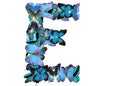 Letter of blue butterfly Royalty Free Stock Photo