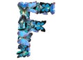 Letter of blue butterfly Royalty Free Stock Photo