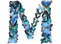 Letter of blue butterfly Royalty Free Stock Photo