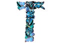 Letter of blue butterfly Royalty Free Stock Photo