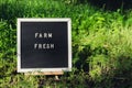 Letter board with text FARM FRESH on background of garden bed with green herb dill. Organic farming, produce local Royalty Free Stock Photo