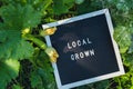 Letter board with text LOCAL GROWN on background of garden bed with zucchini. Organic farming, produce local vegetables