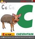 Letter C from alphabet with cartoon chevrotain animal character