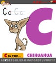 letter C from alphabet with cartoon chihuahua dog animal character